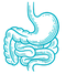 Gut Health